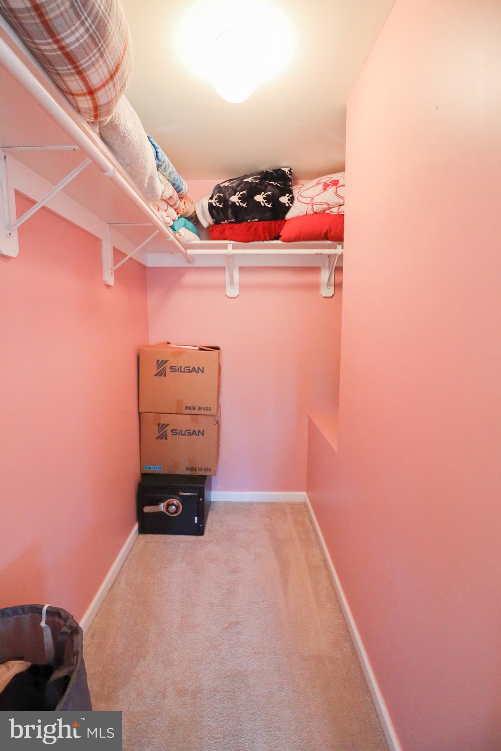193 North Cottage Road Sterling, VA 20164 - Photo 34 of 52 Large Walk In Closet in Owner's suite