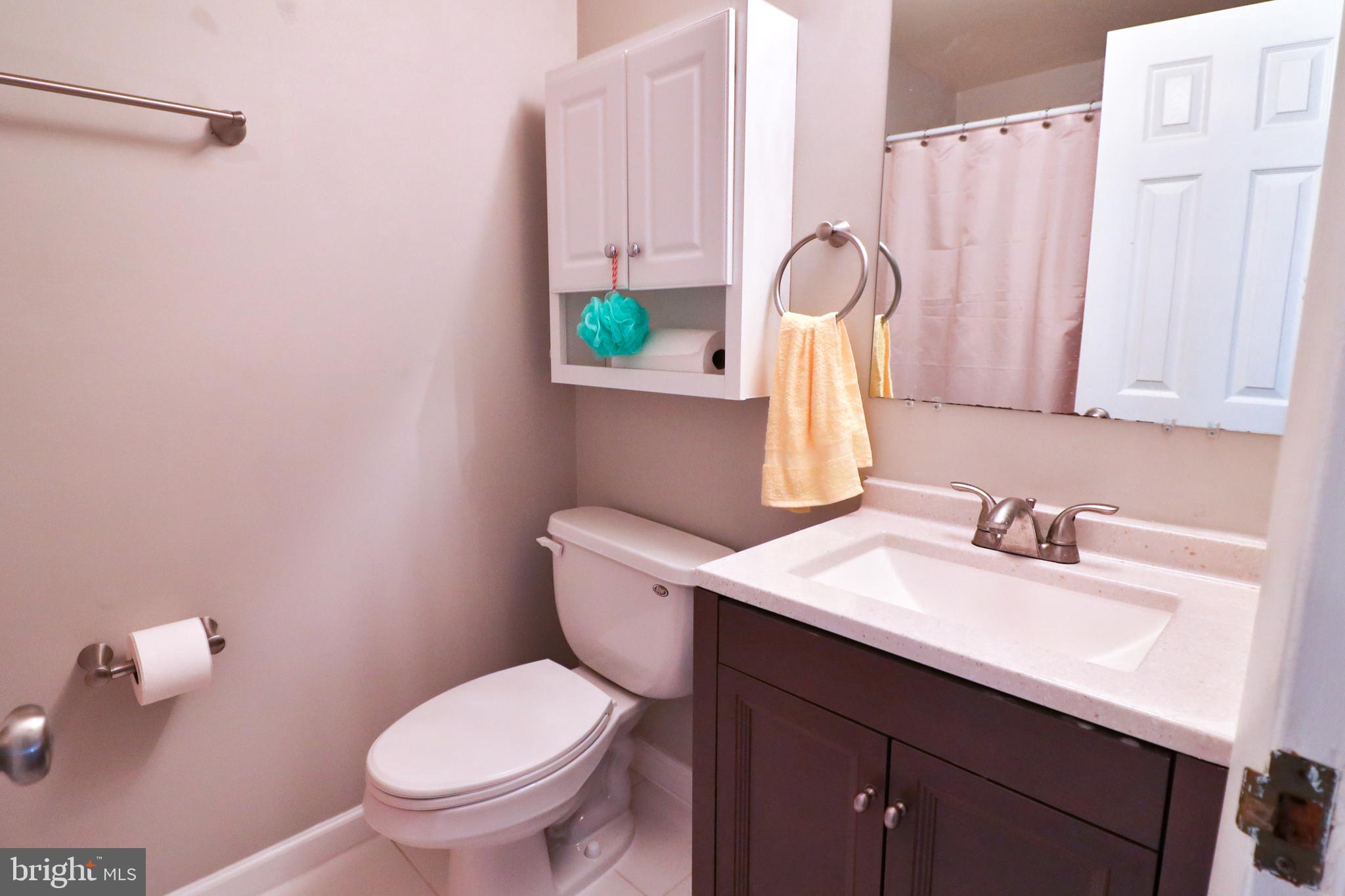 193 North Cottage Road Sterling, VA 20164 - Photo 43 of 52 Upper Hallway Full Bathroom