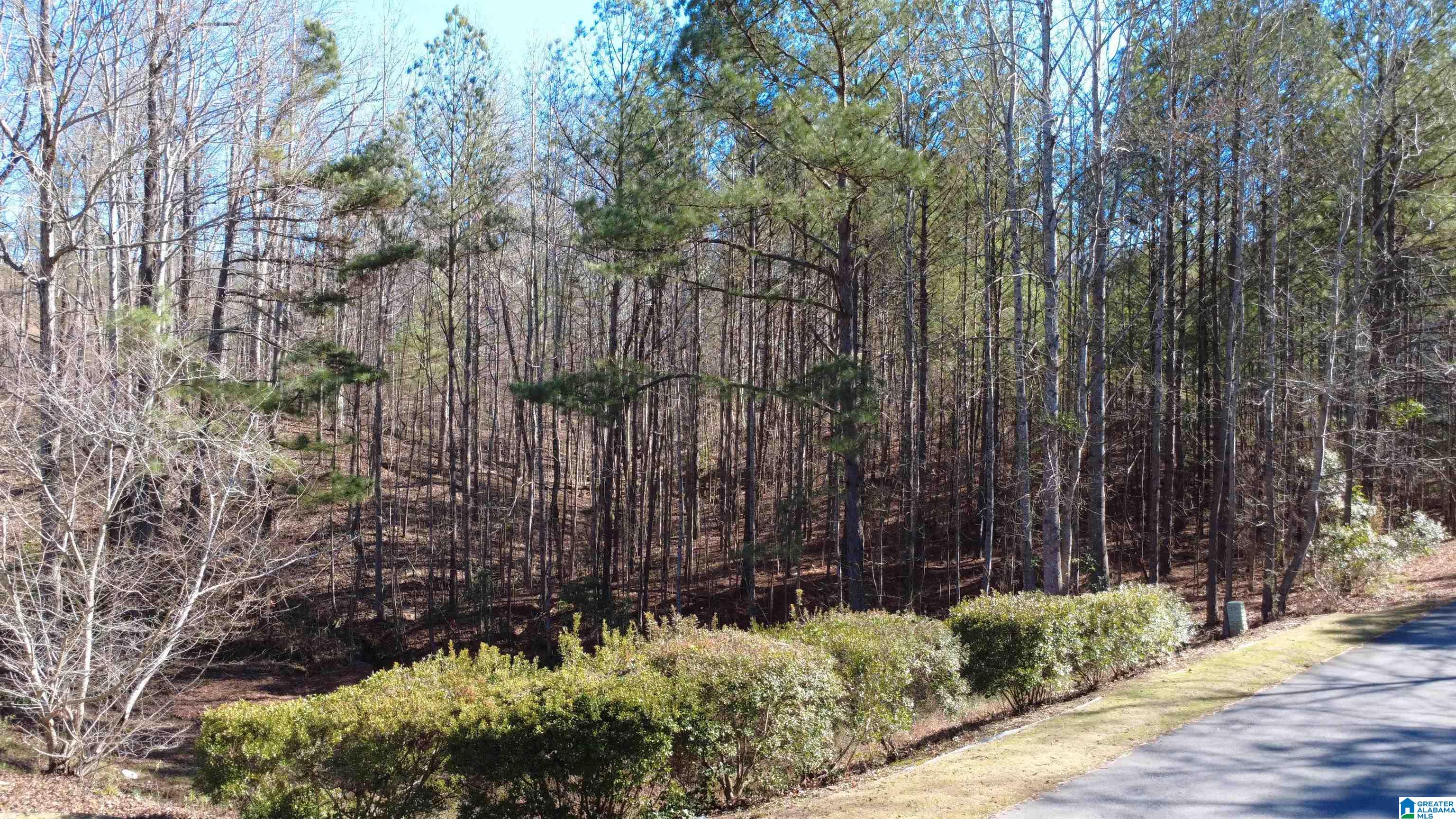 105 Hampton Lane, Unit 13 Pelham, AL 35124 - Photo 7 of 27