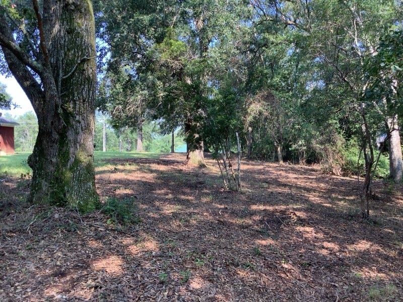37924 Magnolia Church Road Bay Minette, AL 36507 - Photo 14 of 15