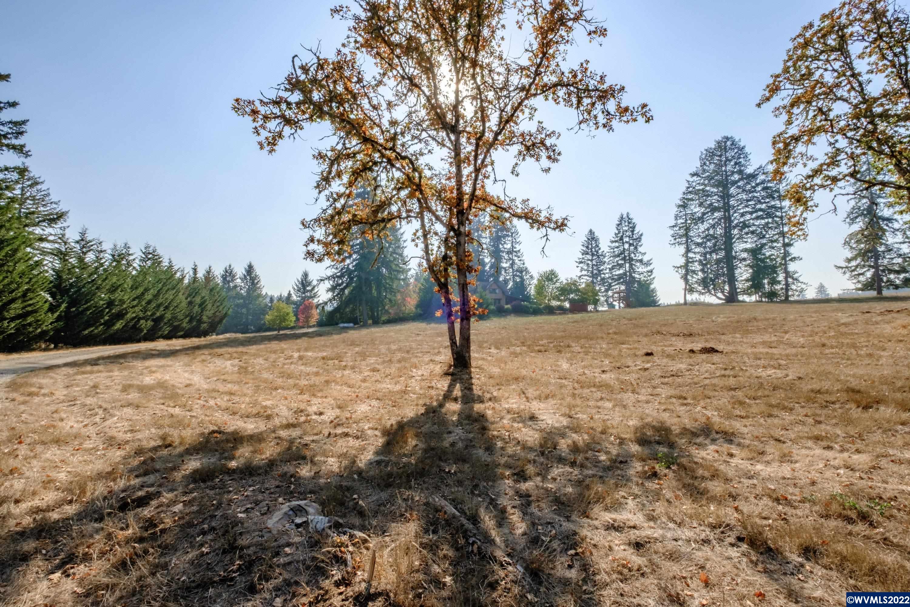 25668 Rice (parcel Road Sweet Home, OR 97386 - Photo 11 of 16 Gallery Image 11