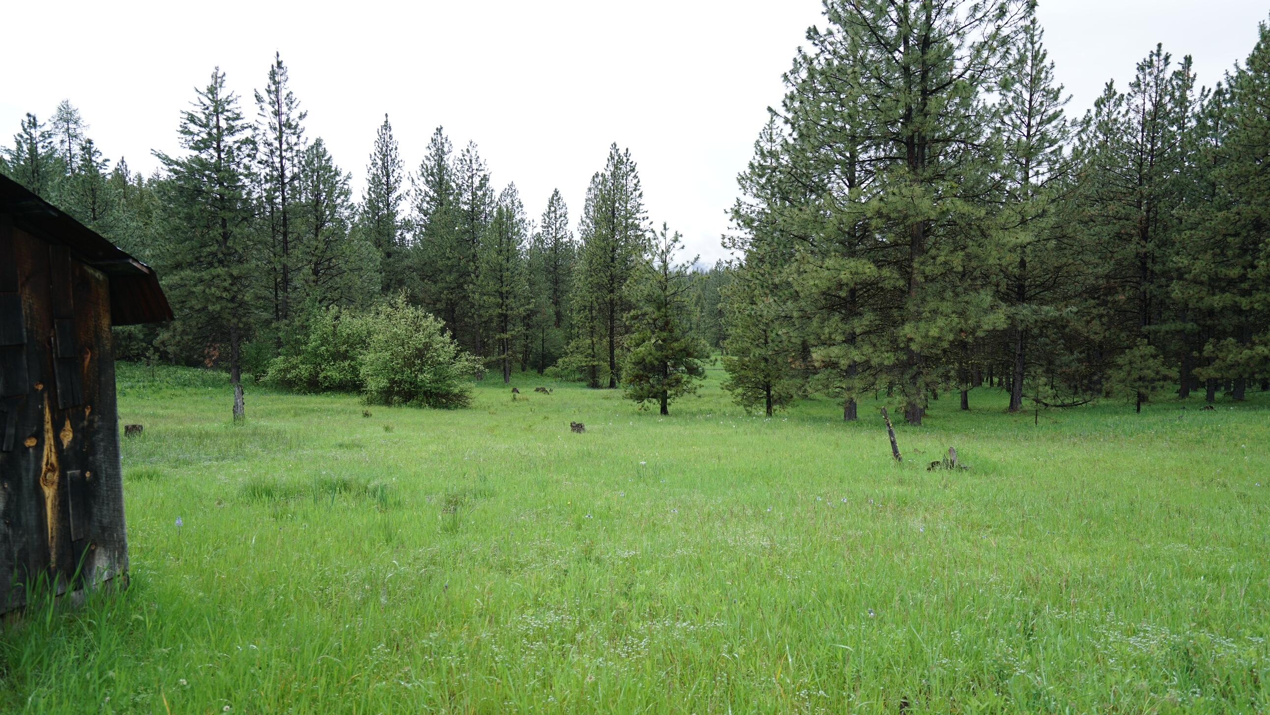 214 Forest Road Bates, OR 97817 - Photo 11 of 34 DSC02321