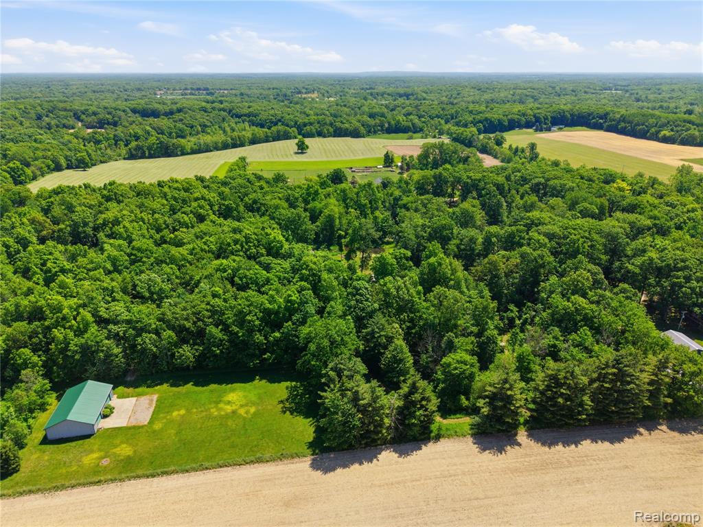14830 Sheridan Road Byron, MI 48418 - Photo 66 of 74