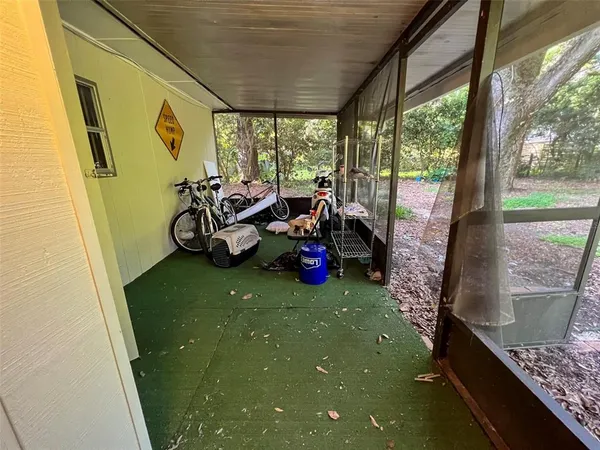 a view of a two chairs in the back yard