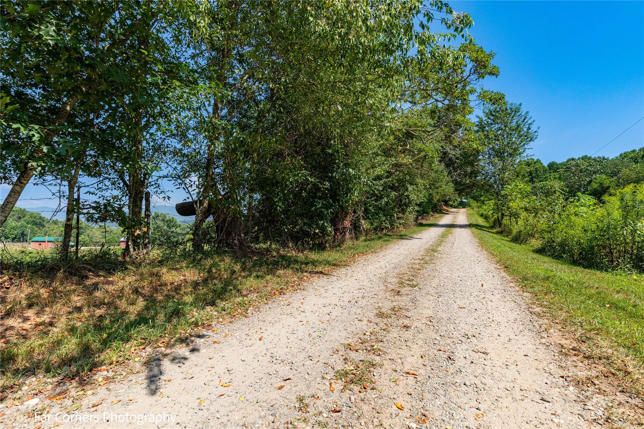 228 Chestnut Mountain Road Canton, NC 28716 - Photo 21 of 41