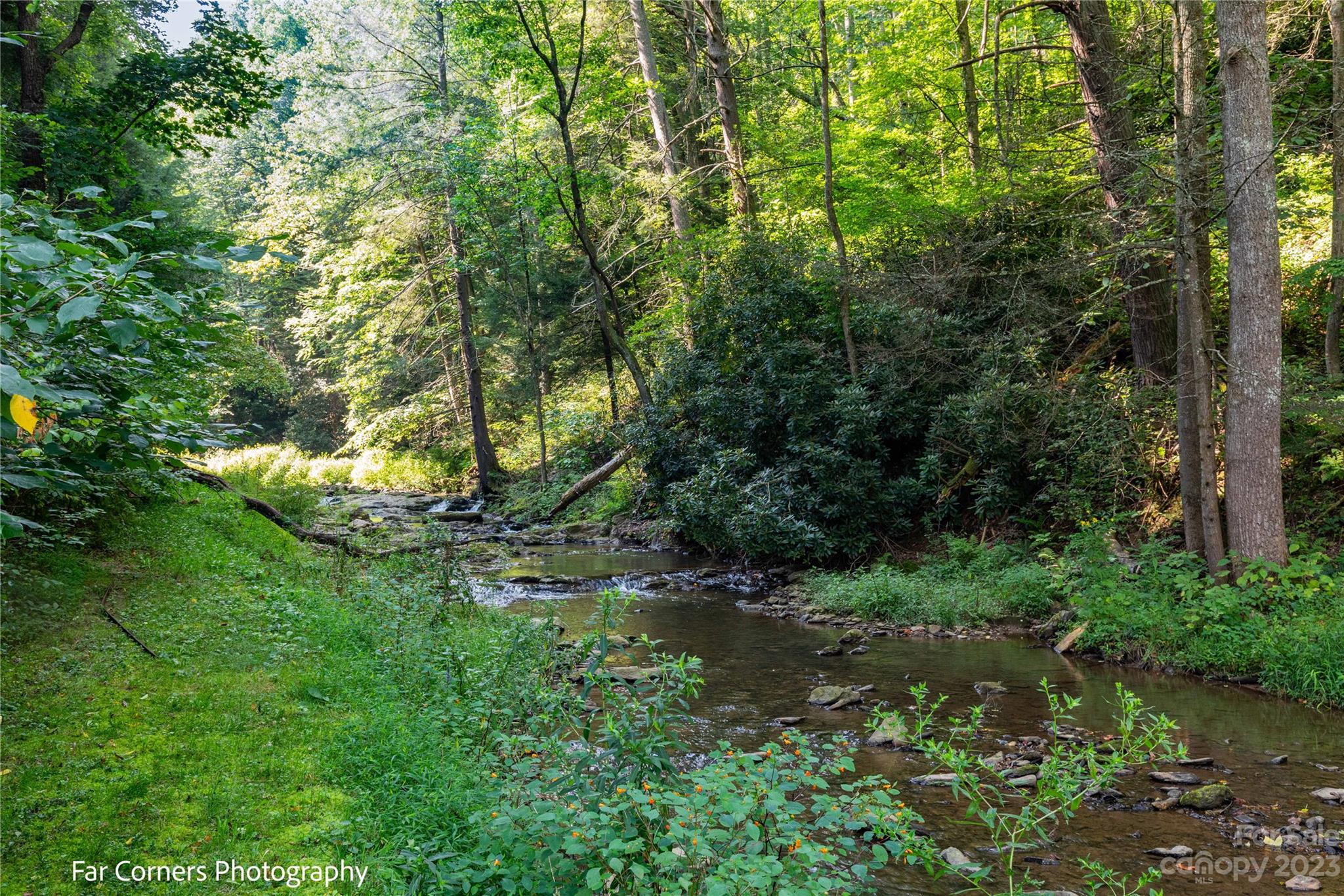 228 Chestnut Mountain Road Canton, NC 28716 - Photo 4 of 41