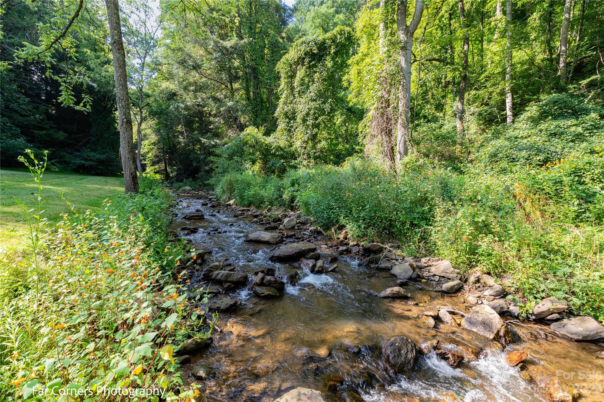 228 Chestnut Mountain Road Canton, NC 28716 - Photo 41 of 41