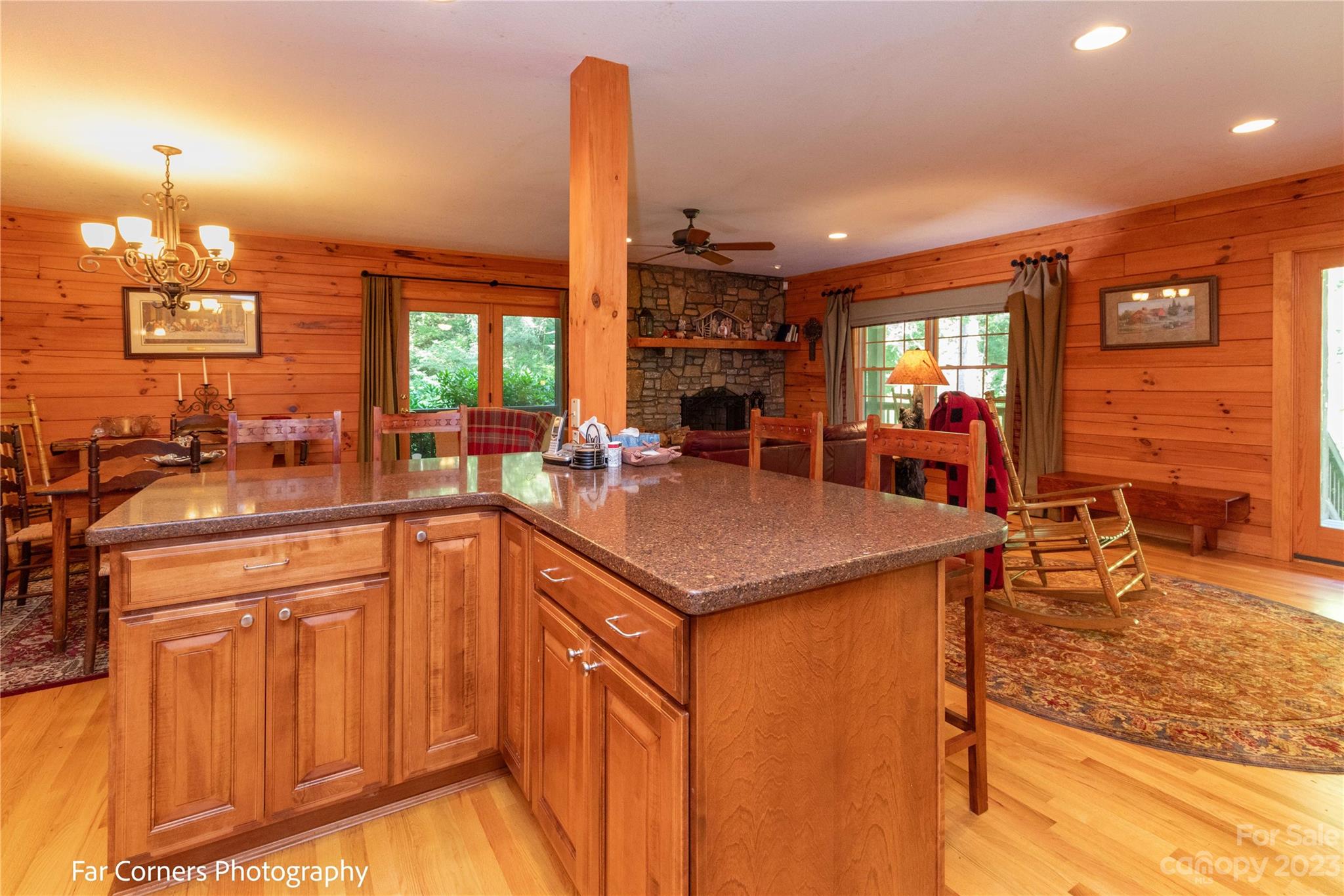 228 Chestnut Mountain Road Canton, NC 28716 - Photo 10 of 41