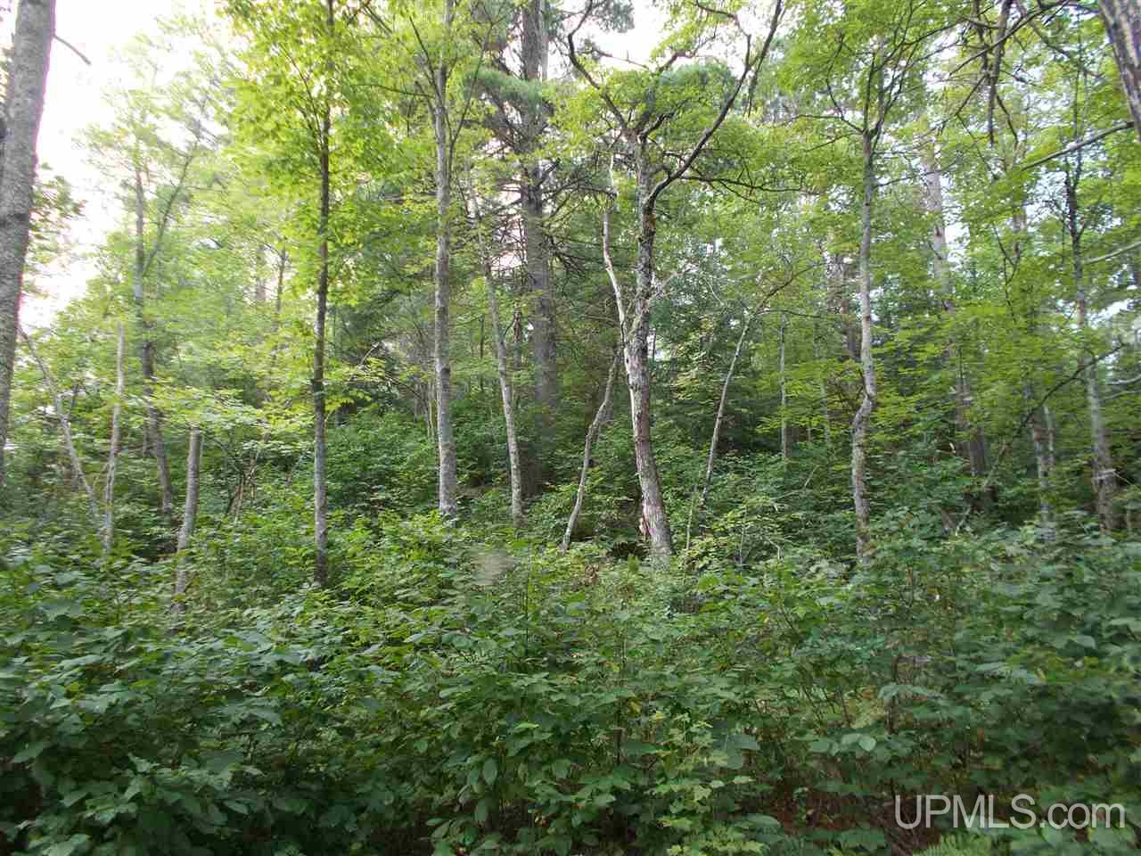 65 Co Road Negaunee, MI 49866 - Photo 14 of 30