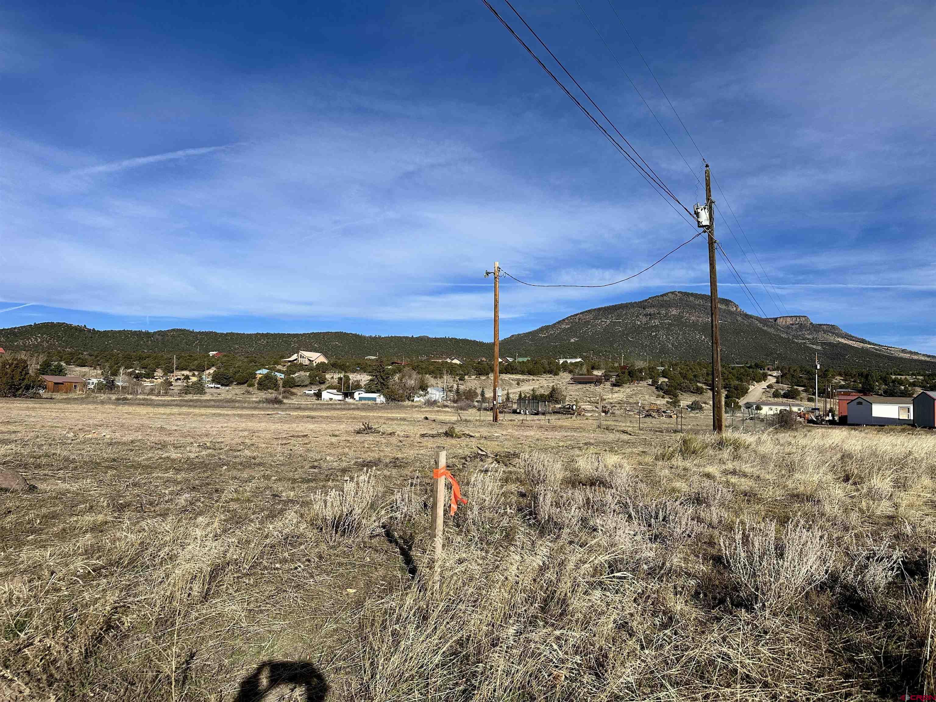 162 Rayburn Road South Fork, CO 81154 - Photo 3 of 10 a view of a yard