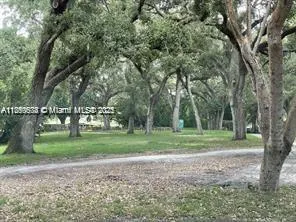 a garden view with a lake view