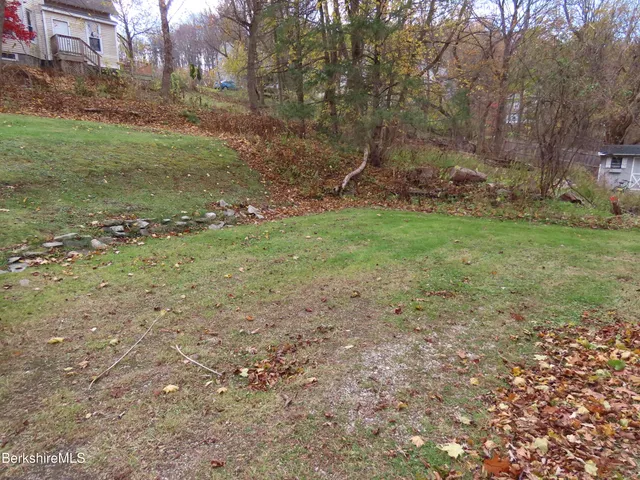 a view of a field with grass and trees