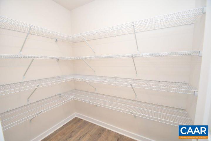 182 Riva Way Palmyra, VA 22963 - Photo 11 of 25 a view of a closet
