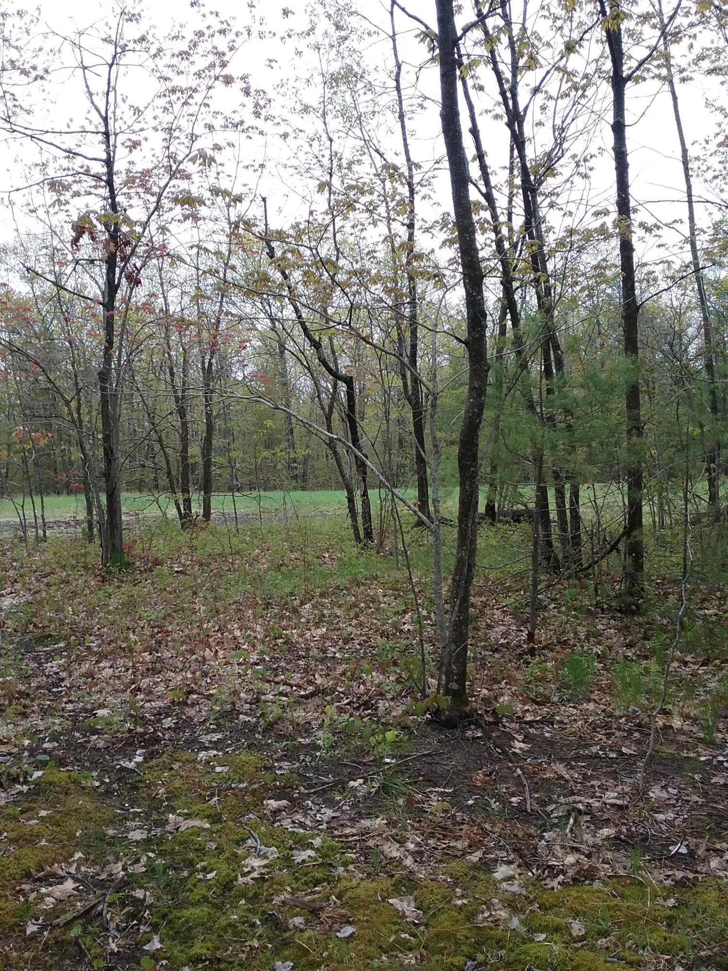 South Extension Road Cheboygan, MI 49721 - Photo 1 of 11 Gallery Image 1