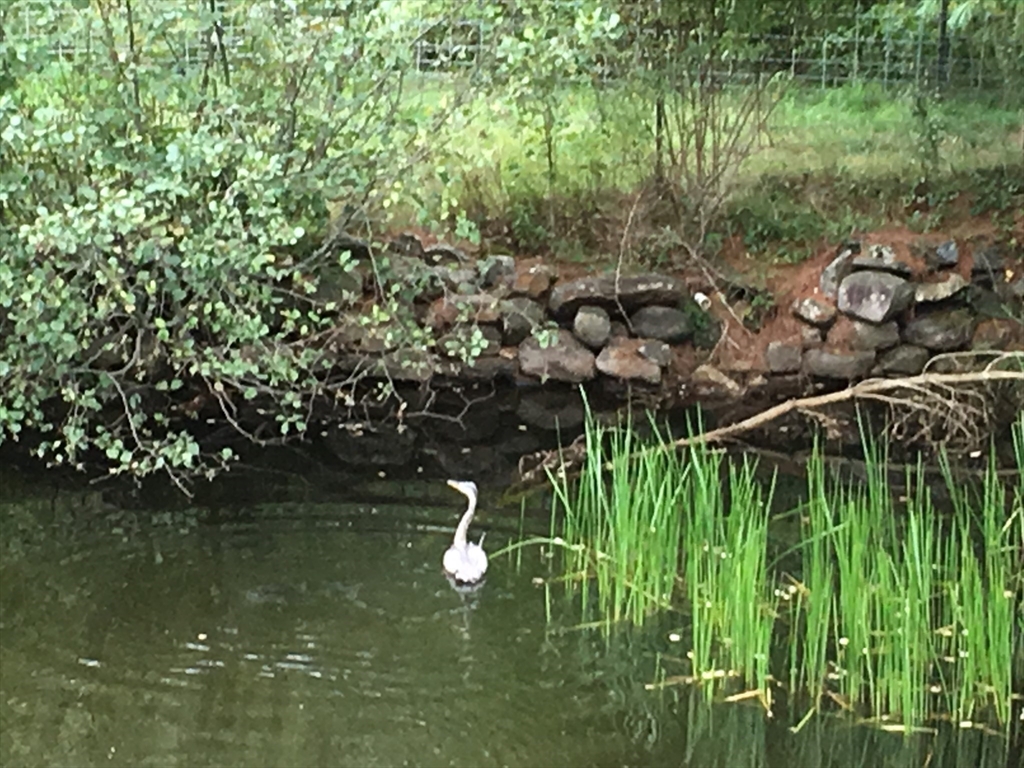 30 Little Rest Road Brimfield, MA 01010 - Photo 35 of 37