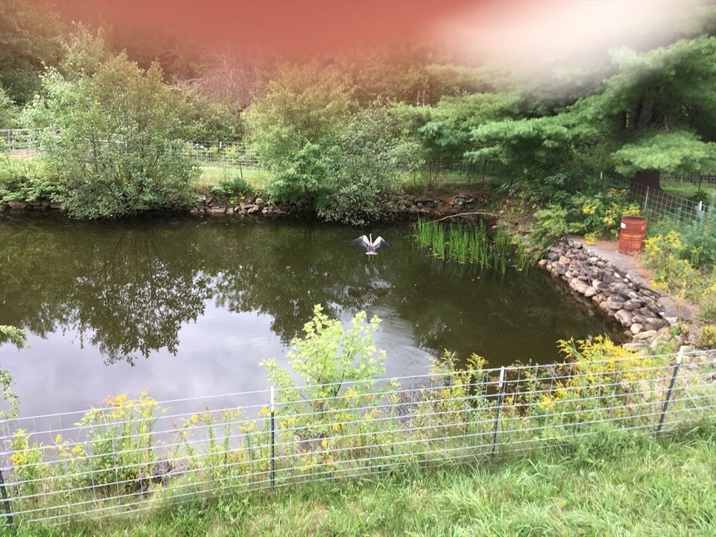 30 Little Rest Road Brimfield, MA 01010 - Photo 36 of 37