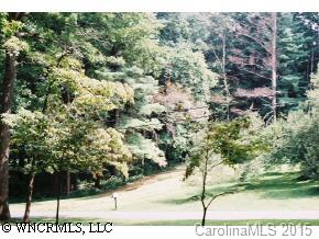 999999 Emory Road Asheville, NC 28806 - Photo 2 of 9 Gallery Image 2
