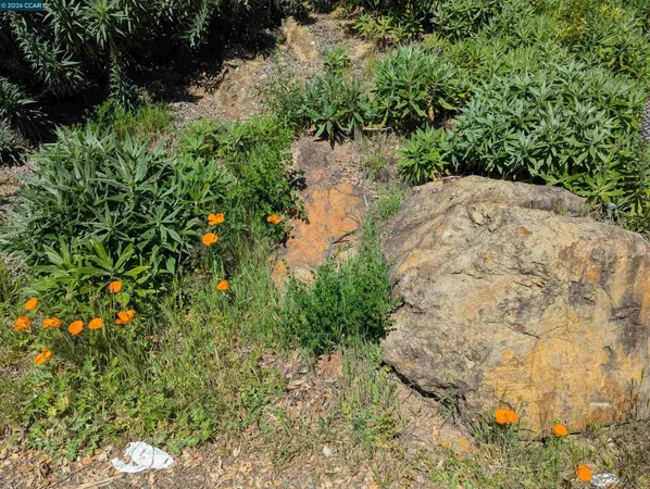 $349,000 | 0 Gravatt Drive, Oakland, CA 94705