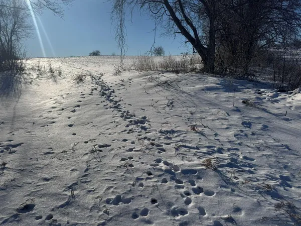 $749,000 | Lot 0 Hillcrest Drive, Plymouth, WI 53073