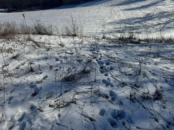 $749,000 | Lot 0 Hillcrest Drive, Plymouth, WI 53073