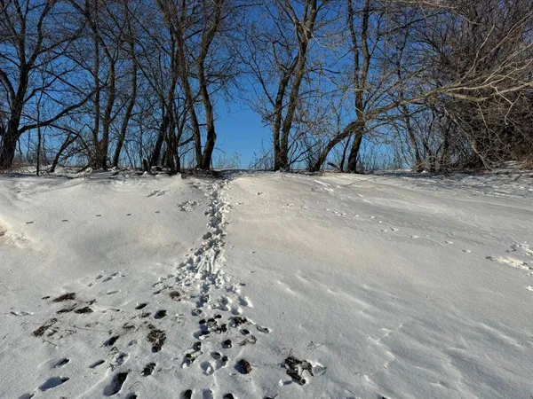 $749,000 | Lot 0 Hillcrest Drive, Plymouth, WI 53073