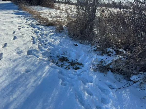 $749,000 | Lot 0 Hillcrest Drive, Plymouth, WI 53073