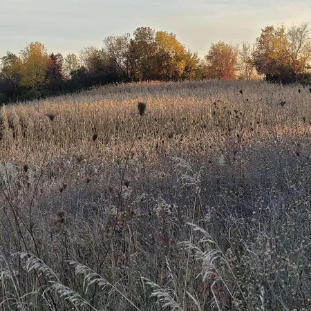 $749,000 | Lot 0 Hillcrest Drive, Plymouth, WI 53073