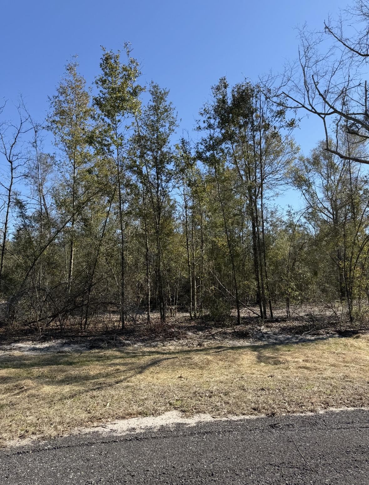 2 Highway 90 Holt, FL 32564 - Photo 9 of 24