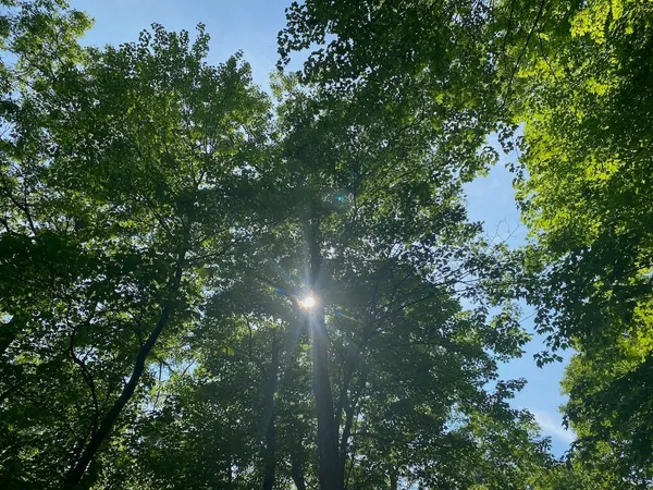 $34,900 | Lot 7 Secluded Trail, Hayward, WI 54843
