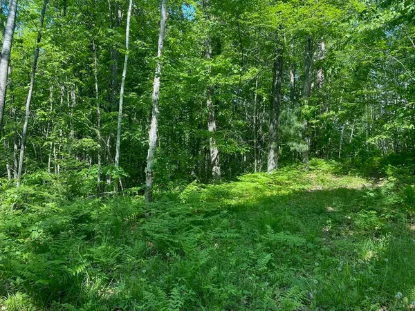 $34,900 | Lot 7 Secluded Trail, Hayward, WI 54843