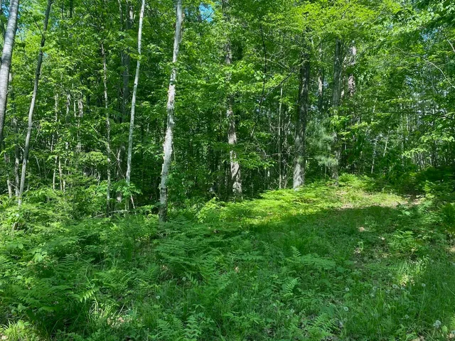 $34,900 | Lot 7 Secluded Trail, Hayward, WI 54843