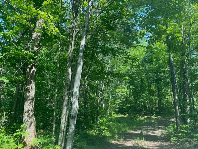 $34,900 | Lot 7 Secluded Trail, Hayward, WI 54843