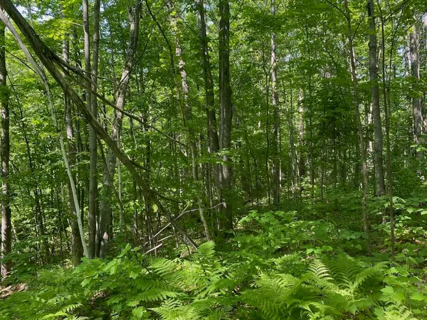 $34,900 | Lot 7 Secluded Trail, Hayward, WI 54843