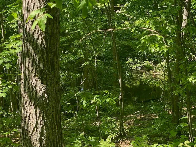 $34,900 | Lot 7 Secluded Trail, Hayward, WI 54843