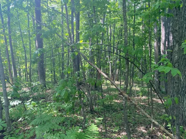 $34,900 | Lot 7 Secluded Trail, Hayward, WI 54843