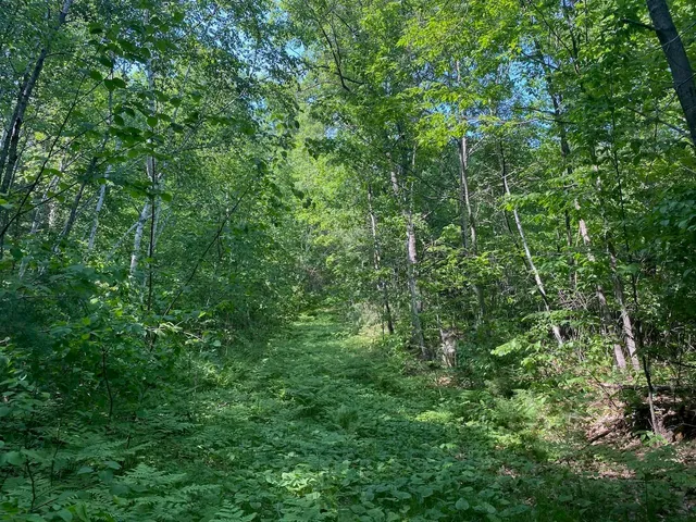 $34,900 | Lot 7 Secluded Trail, Hayward, WI 54843