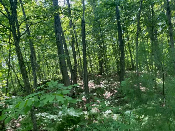 $34,900 | Lot 7 Secluded Trail, Hayward, WI 54843