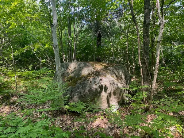 $34,900 | Lot 7 Secluded Trail, Hayward, WI 54843