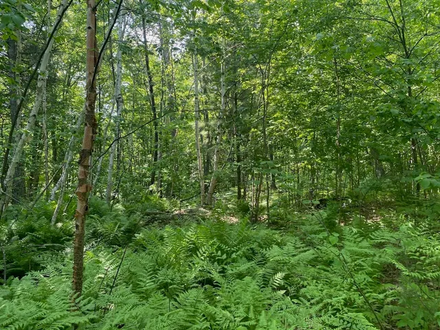 $34,900 | Lot 7 Secluded Trail, Hayward, WI 54843
