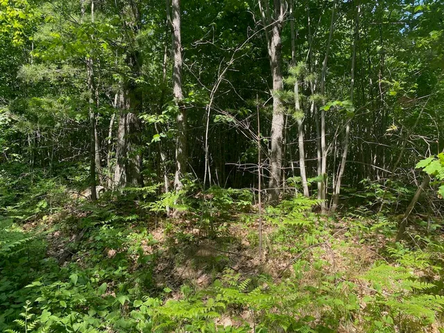 $34,900 | Lot 7 Secluded Trail, Hayward, WI 54843