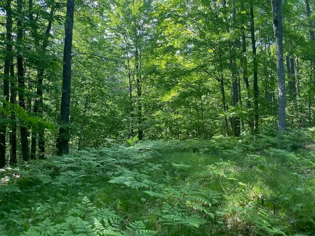 $34,900 | Lot 7 Secluded Trail, Hayward, WI 54843