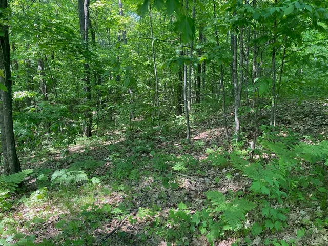 $34,900 | Lot 7 Secluded Trail, Hayward, WI 54843