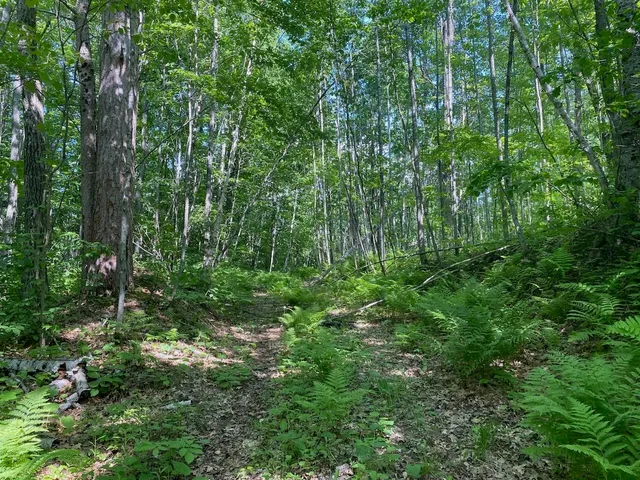 $34,900 | Lot 7 Secluded Trail, Hayward, WI 54843