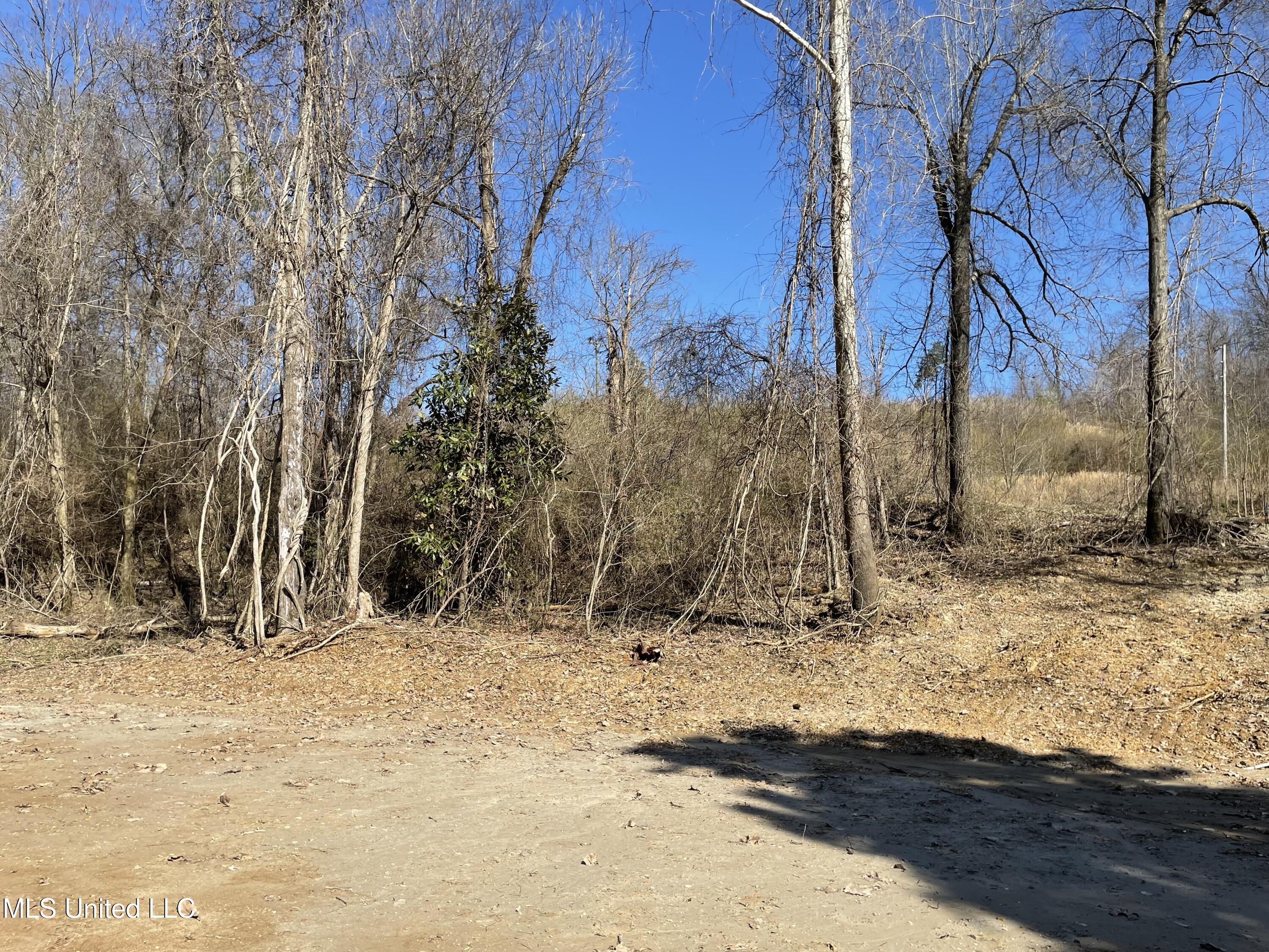 15944 Browns Ferry Road Sarah, MS 38665 - Photo 2 of 7 IMG_1599