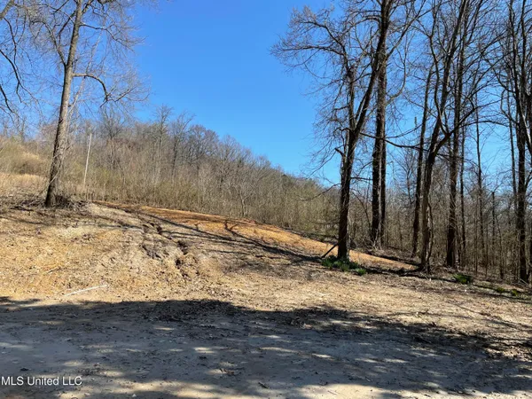 $26,000 | 15944 Browns Ferry Road, Sarah, MS 38665