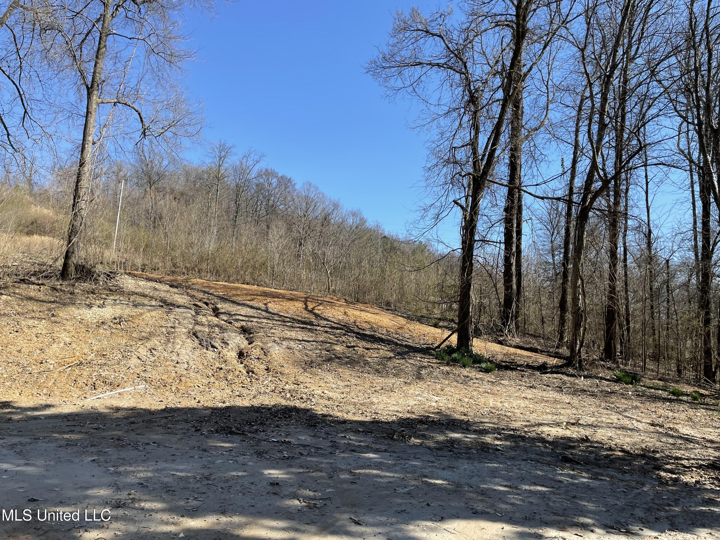 15944 Browns Ferry Road Sarah, MS 38665 - Photo 3 of 7 IMG_1598