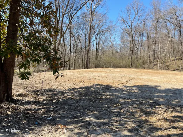 $26,000 | 15944 Browns Ferry Road, Sarah, MS 38665