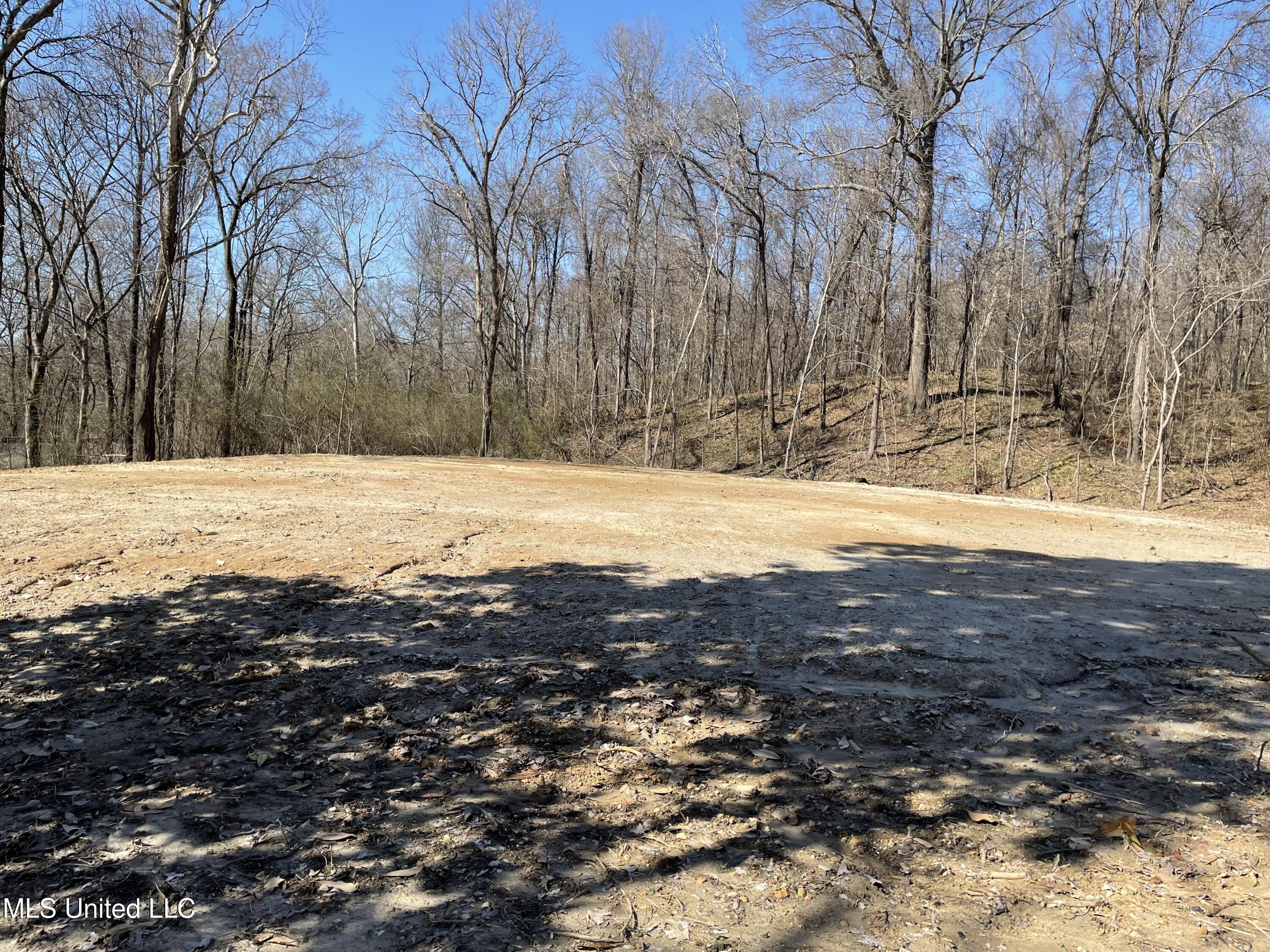 15944 Browns Ferry Road Sarah, MS 38665 - Photo 6 of 7 IMG_1594