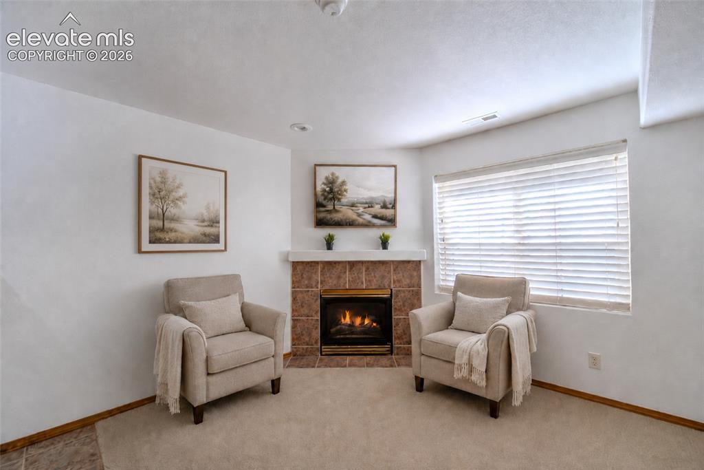 789 Capeglen Road Colorado Springs, CO 80906 - Photo 33 of 46 2nd gas fireplace in basement