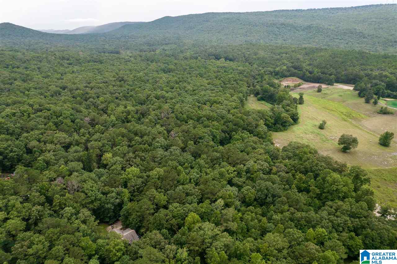 521 Season Road Sterrett, AL 35147 - Photo 34 of 34